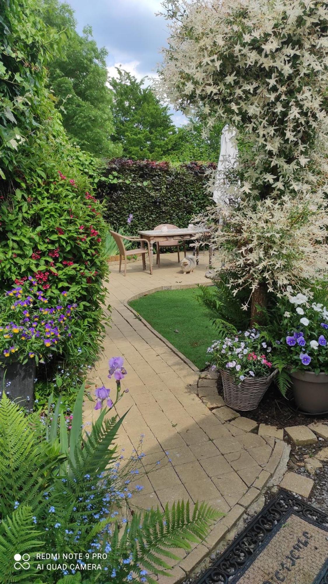 Le Memagne Holiday home *