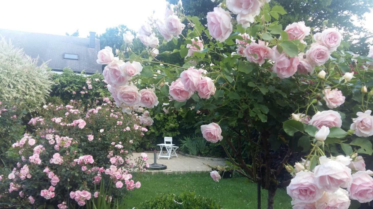Le Memagne Holiday home Florenville